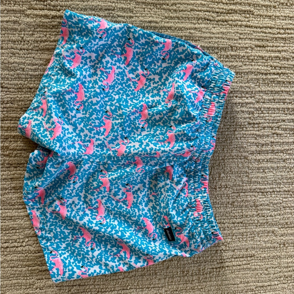 chubbies Kids Teal Swim Trunks with Pink Dolphin Print - Picture 2 of 3